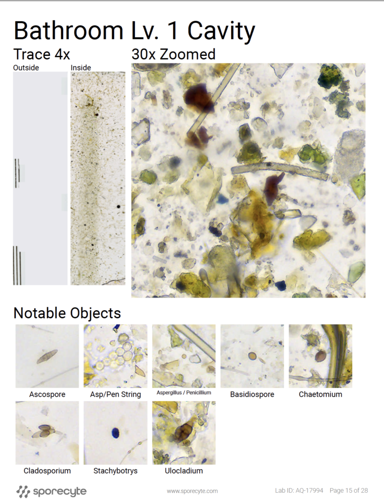 Screenshot 2025-01-10 at 2.43.20 PM