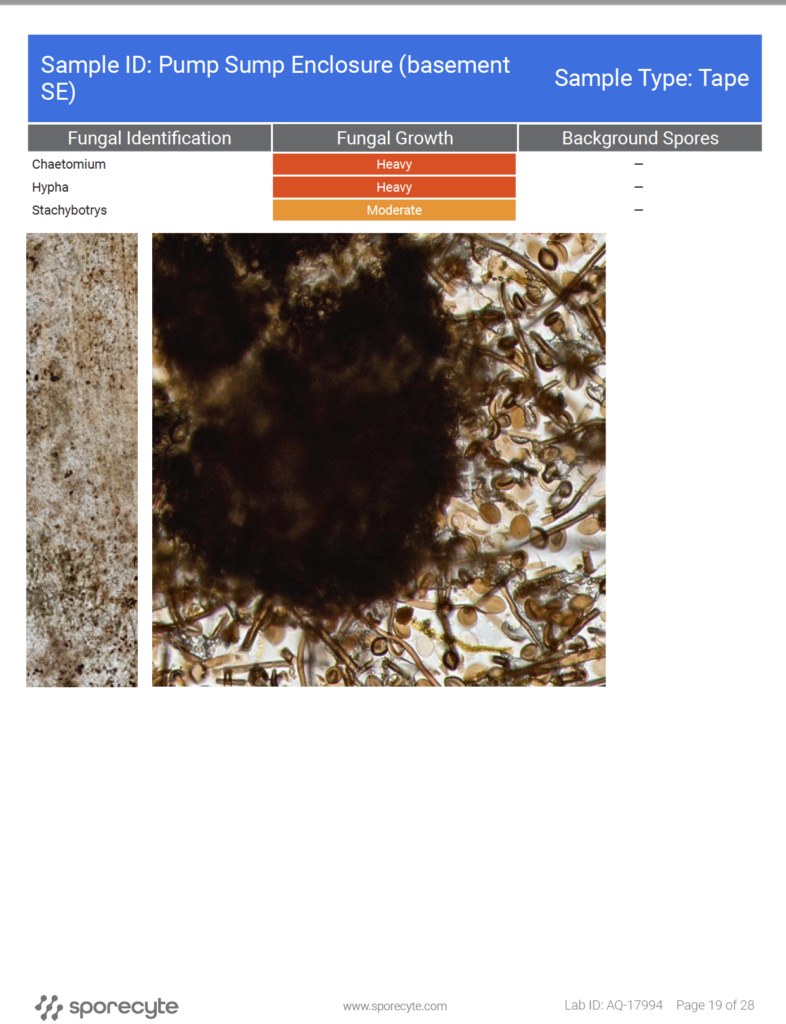 Screenshot 2025-01-10 at 2.44.12 PM