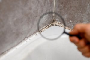 Identifying the Type of Mold with Pure Health's Innovative Technologies