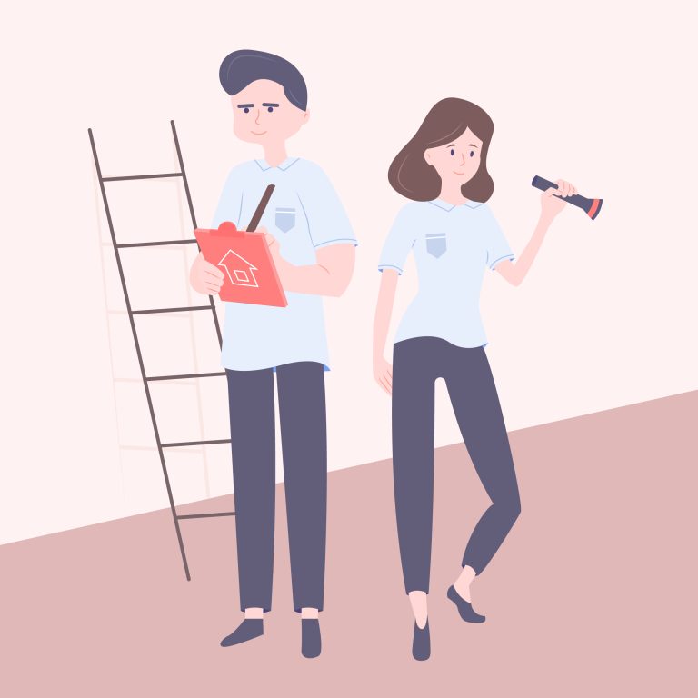 Do home inspections test for mold professional mold inspection testing home